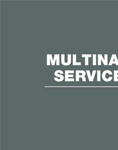 Multinational Service Firms (RLE International Business)