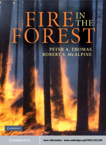 Fire in the Forest