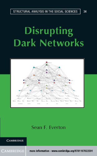 Disrupting Dark Networks