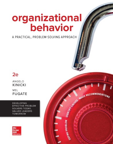 Organizational behavior : a practical, problem-solving approach