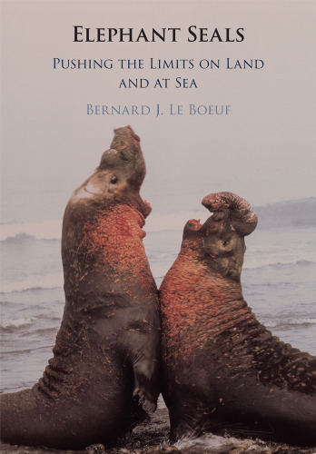 Elephant Seals: Pushing the Limits on Land and at Sea