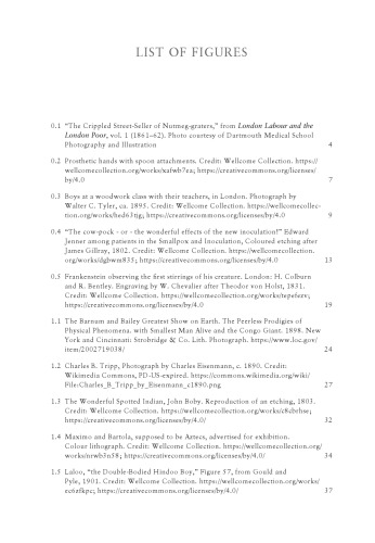 A Cultural History of Disability in the Long Nineteenth Century