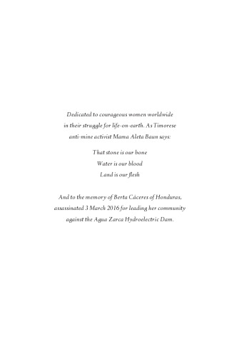 Ecofeminism as Politics: Nature, Marx and the Postmodern