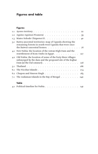 The Politics Of Indigeneity: Dialogues And Reflections On Indigenous Activism