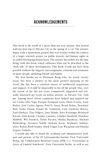 The Punitive City: Privatized Policing and Protection in Neoliberal Mexico