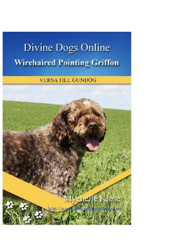 Wirehaired Pointing Griffon