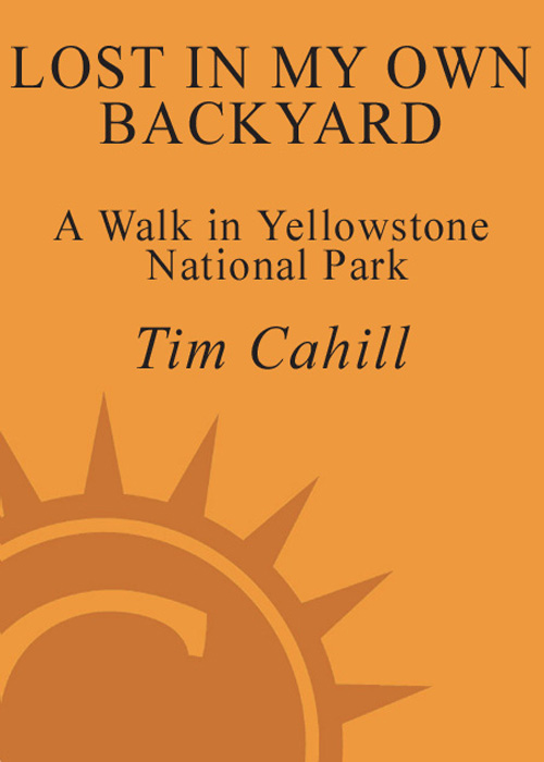 Lost in My Own Backyard: A Walk in Yellowstone National Park