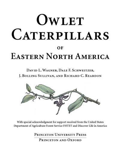 Owlet Caterpillars of Eastern North America