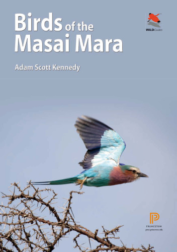 Birds of the Masai Mara