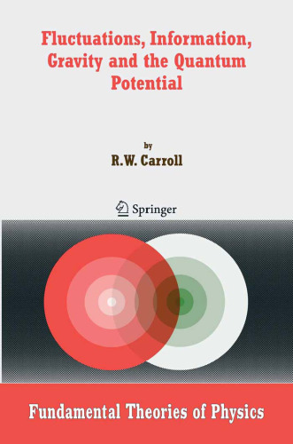 Fluctuations, Information, Gravity and the Quantum Potential (Fundamental Theories of Physics 148)
