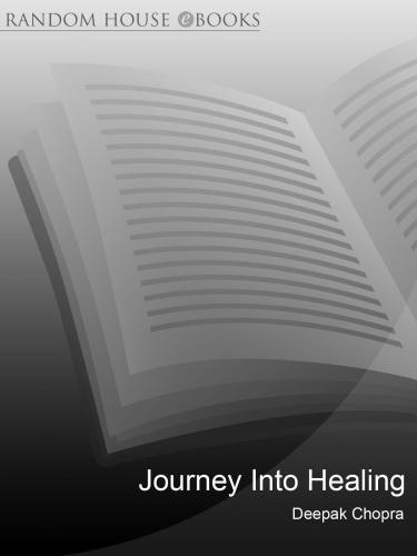 Journey Into Healing: Awakening the Wisdom Within You Rbun