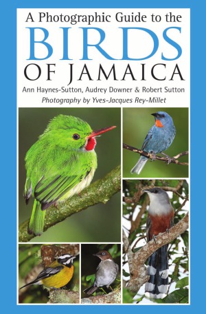 A Photographic Guide to the Birds of Jamaica