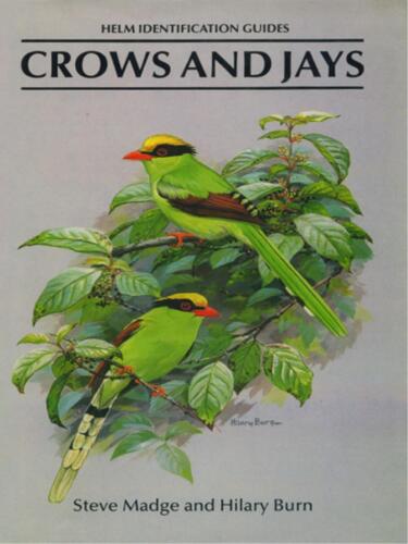 Crows and Jays