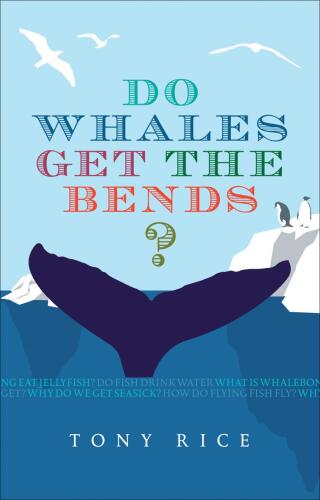 Do Whales Get The Bends?