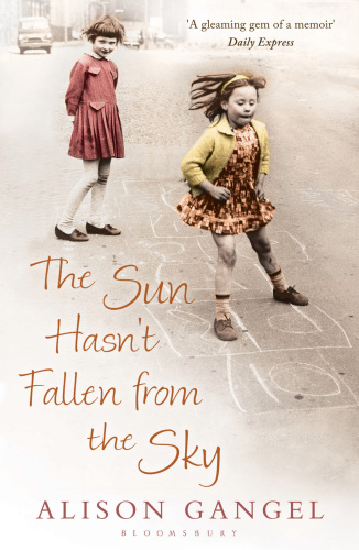 The Sun Hasn't Fallen From the Sky