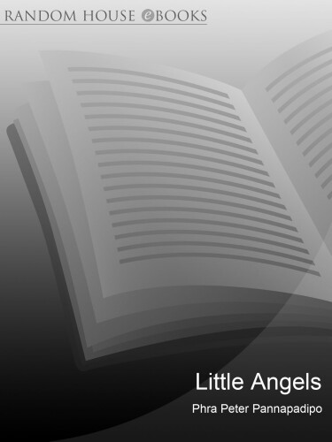 Little Angels: The Real Life Stories of Thai Novice Monks