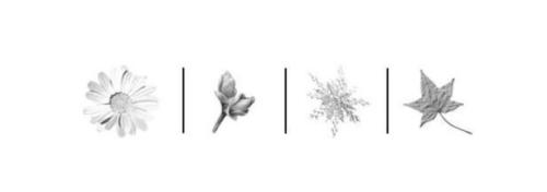 The four seasons of marriage