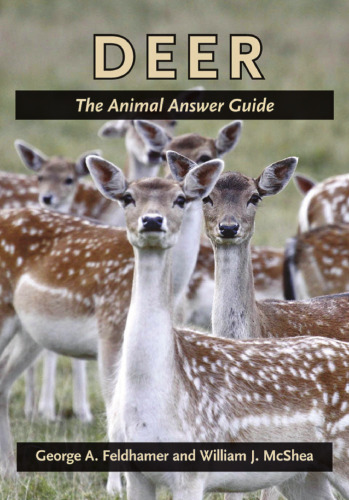 Deer : The Animal Answer Guide
