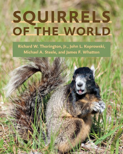 Squirrels of the world