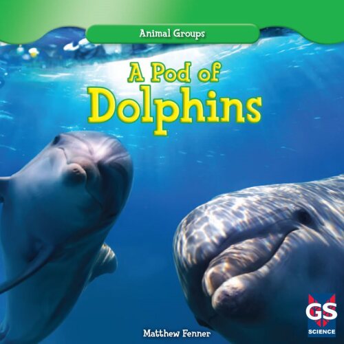A Pod of Dolphins