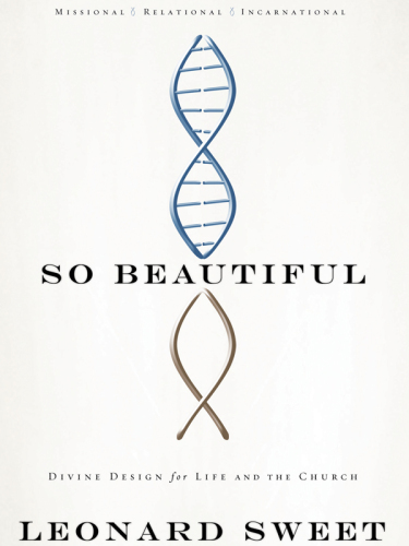 So Beautiful: Divine Design for Life and the Church