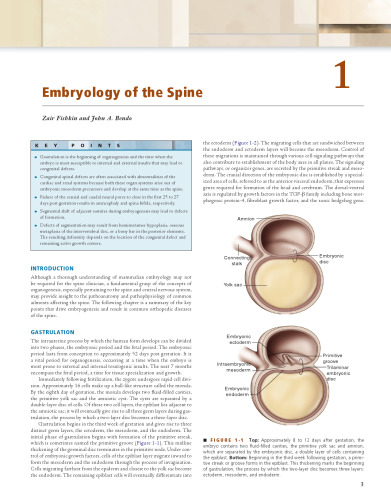 The Comprehensive Treatment of the Aging Spine