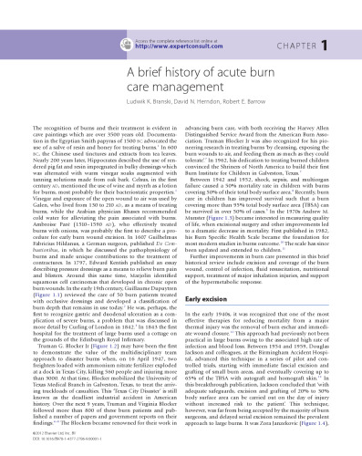 Total Burn Care