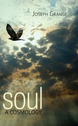 Soul : A Cosmology