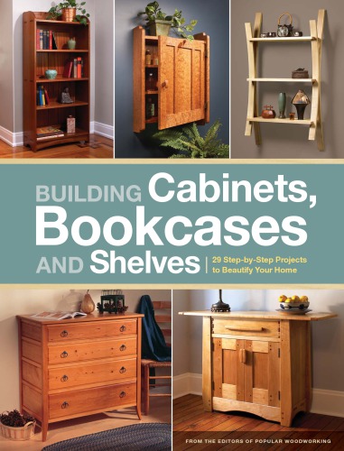 Building cabinets, bookcases and shelves