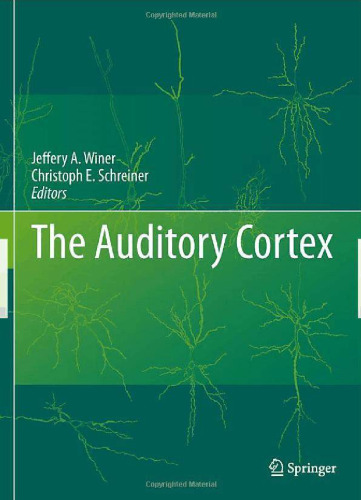 The Auditory Cortex