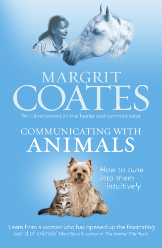 Communicating with animals: how to tune into them intuitively