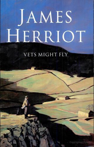 Vets Might Fly