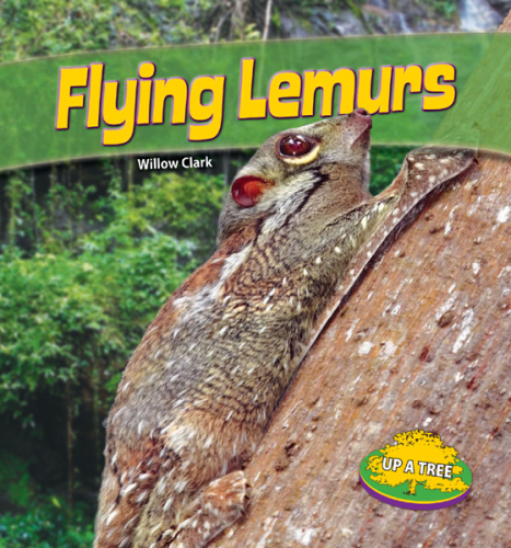 Flying Lemurs