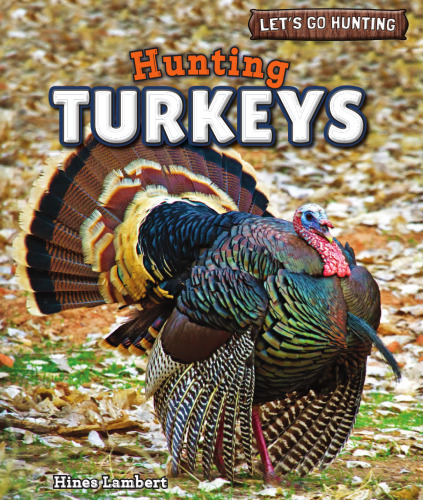 Hunting Turkeys