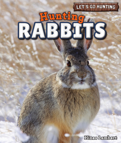 Hunting Rabbits