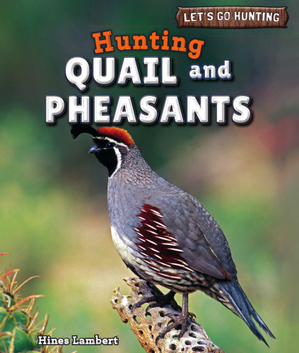 Hunting Quail and Pheasants