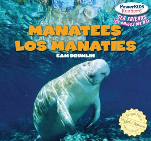 Manatees / Los manatíes