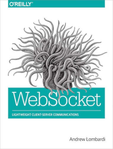 WebSocket