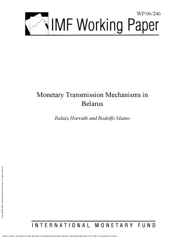 Monetary Transmission Mechanisms in Belarus
