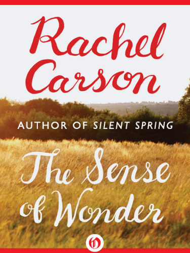 The sense of wonder