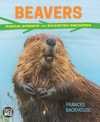 Beavers: Radical Rodents and Ecosystem Engineers
