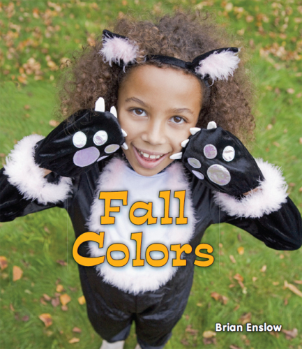 Fall Colors