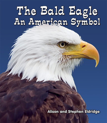 The Bald Eagle