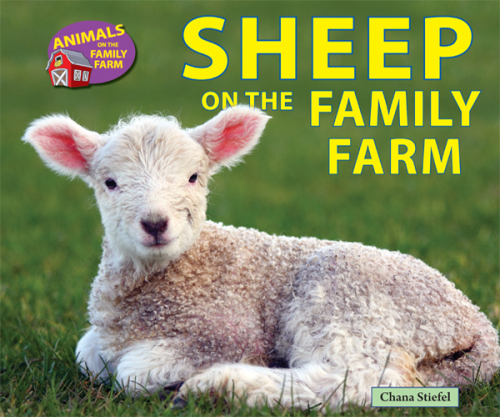 Sheep on the Family Farm