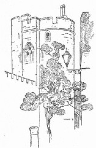 Winchester