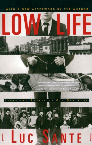 Low Life: Lures and Snares of Old New York