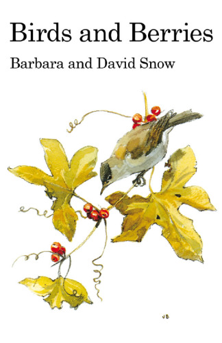 Birds and Berries: A study of an ecological interaction