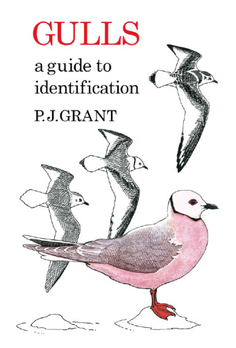 Gulls: A Guide to Identification