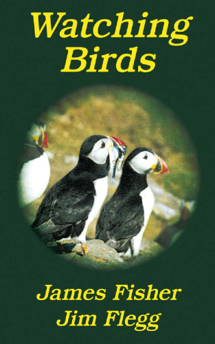 Watching Birds