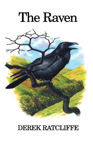 The Raven